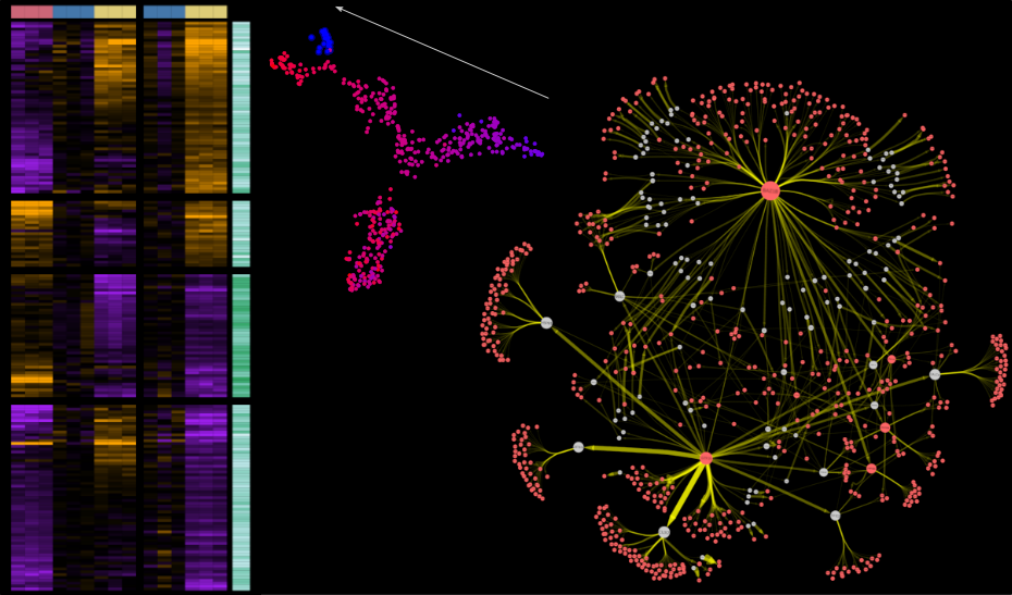 eth neuroscience zrich